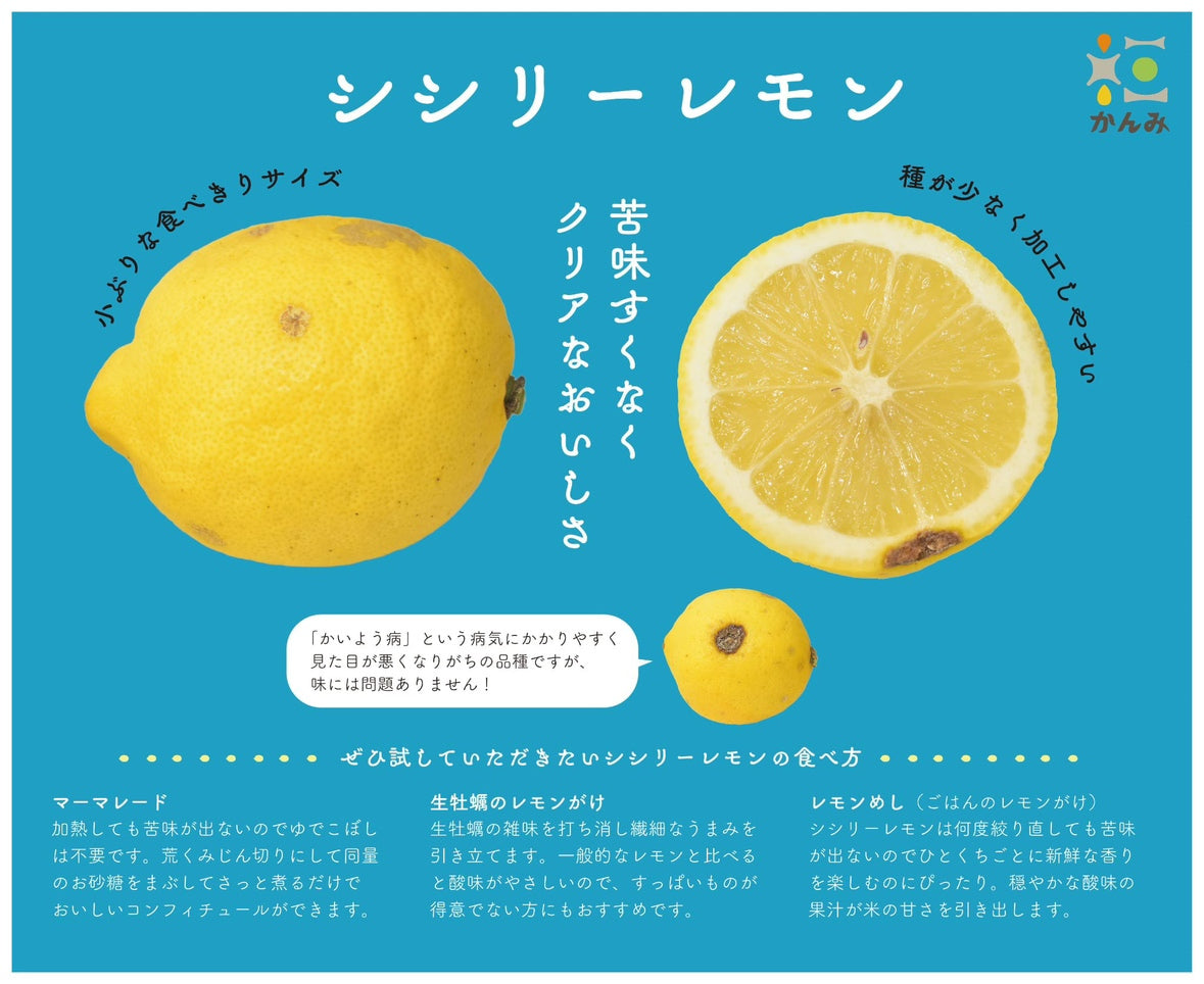 レモンリキュール 2